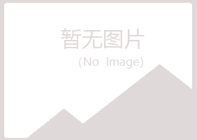 广西紫山化学有限公司